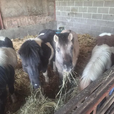 Park House Farm Caravan 2